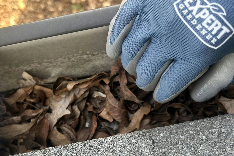 Gutter Cleaning Rogersville