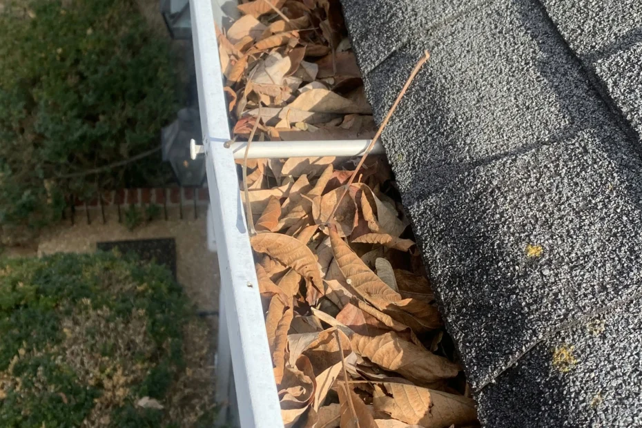 Gutter Cleaning Rogersville