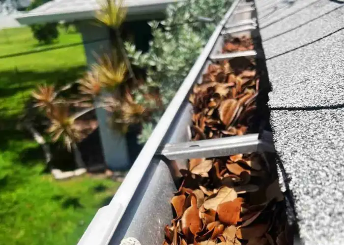 Gutter Cleaning Rogersville home page